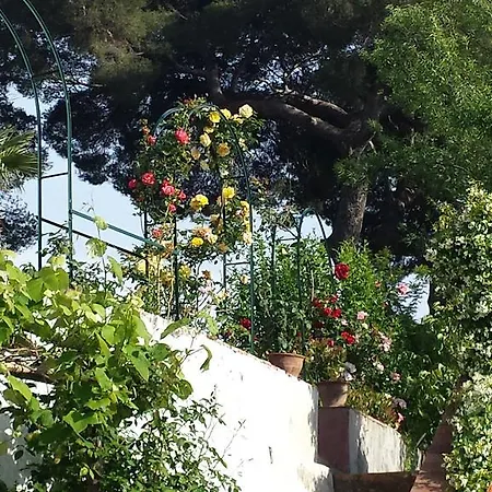 Bed & Breakfast Cassuto Maison De Charme 3*