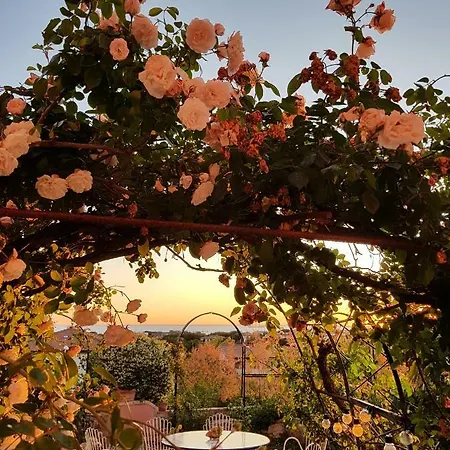 Bed & Breakfast Cassuto Maison De Charme Antignano (Livorno)