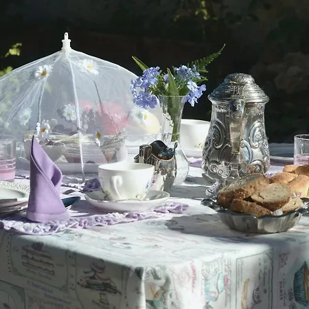 Cassuto Maison De Charme Bed & Breakfast Antignano (Livorno)